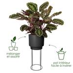 b.for studio rond 30cm rouge brilliant